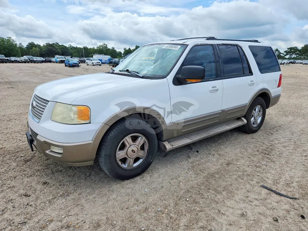Ford Expedition 4.6L 8 2004