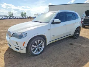 BMW X5 4.8L 8 2010