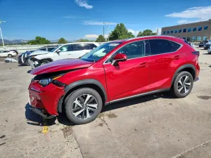 Lexus NX 2.0L 4 2020