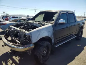 Ford F-150 4.6L 8 2002