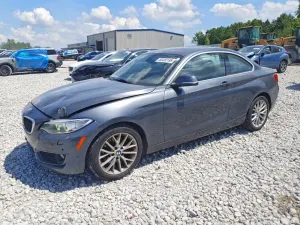 BMW 2 Series 2.0L 4 2015