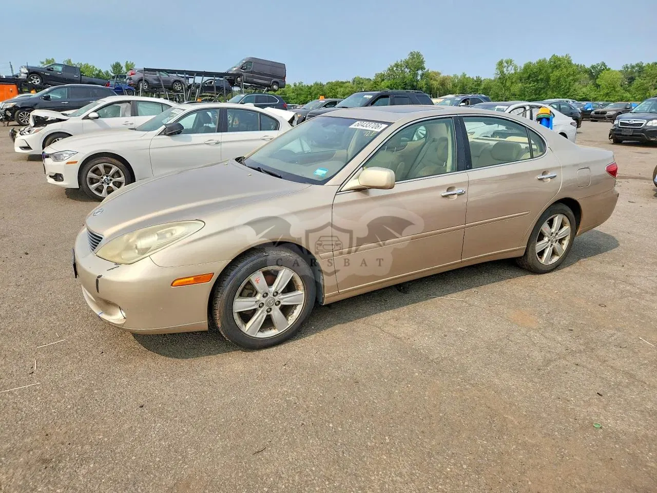 Lexus ES 3.3L 6 2005