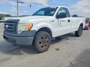 Ford F-150 4.6L 8 2009