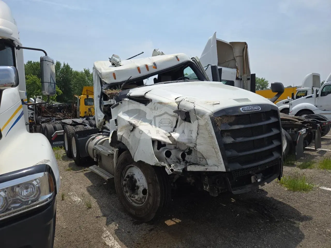 Freightliner Cascadia 12.8L 6 2022