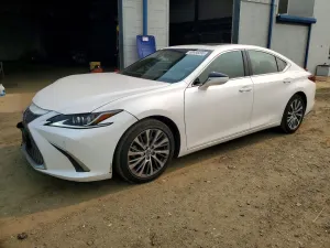Lexus ES 3.5L 6 2020