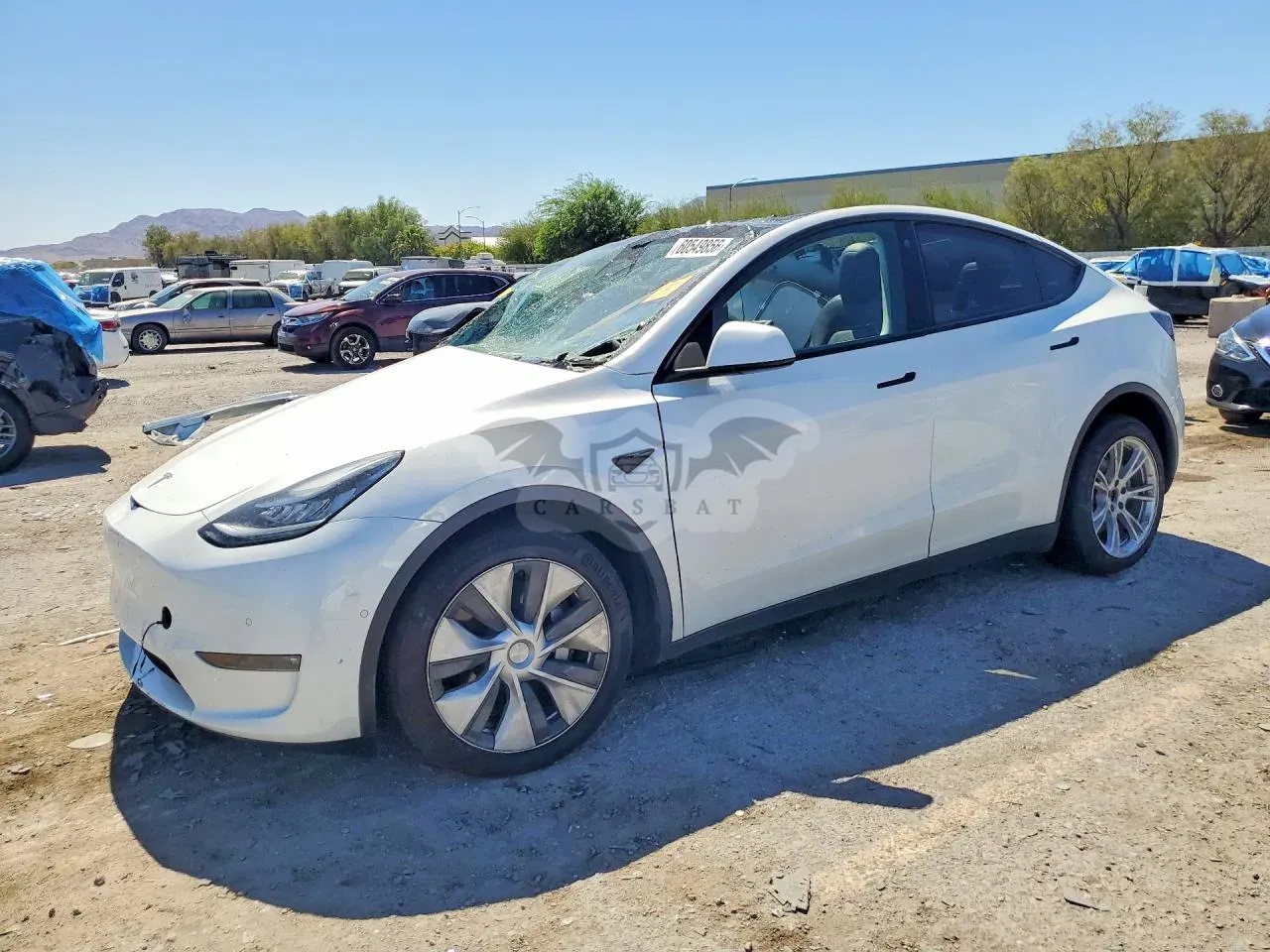Tesla Model Y 2021