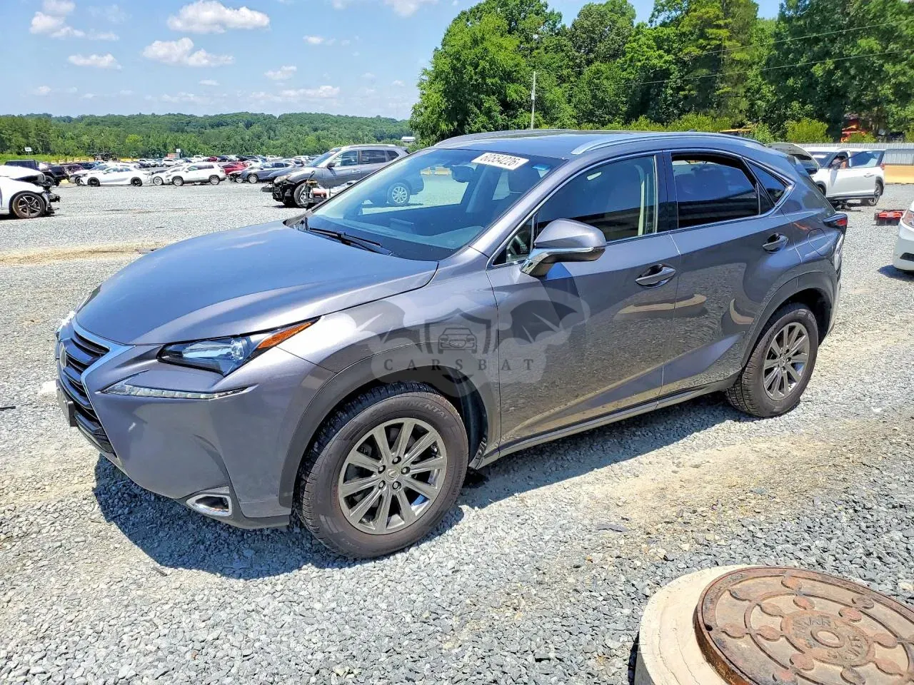 Lexus NX 2.0L 4 2017