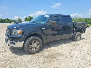 Ford F-150 4.6L 8 2006