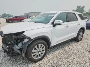Hyundai Palisade 3.8L 6 2025