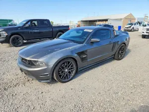 Ford Mustang 5.0L 8 2011