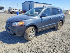 Hyundai Santa Fe 3.3L 6 2008
