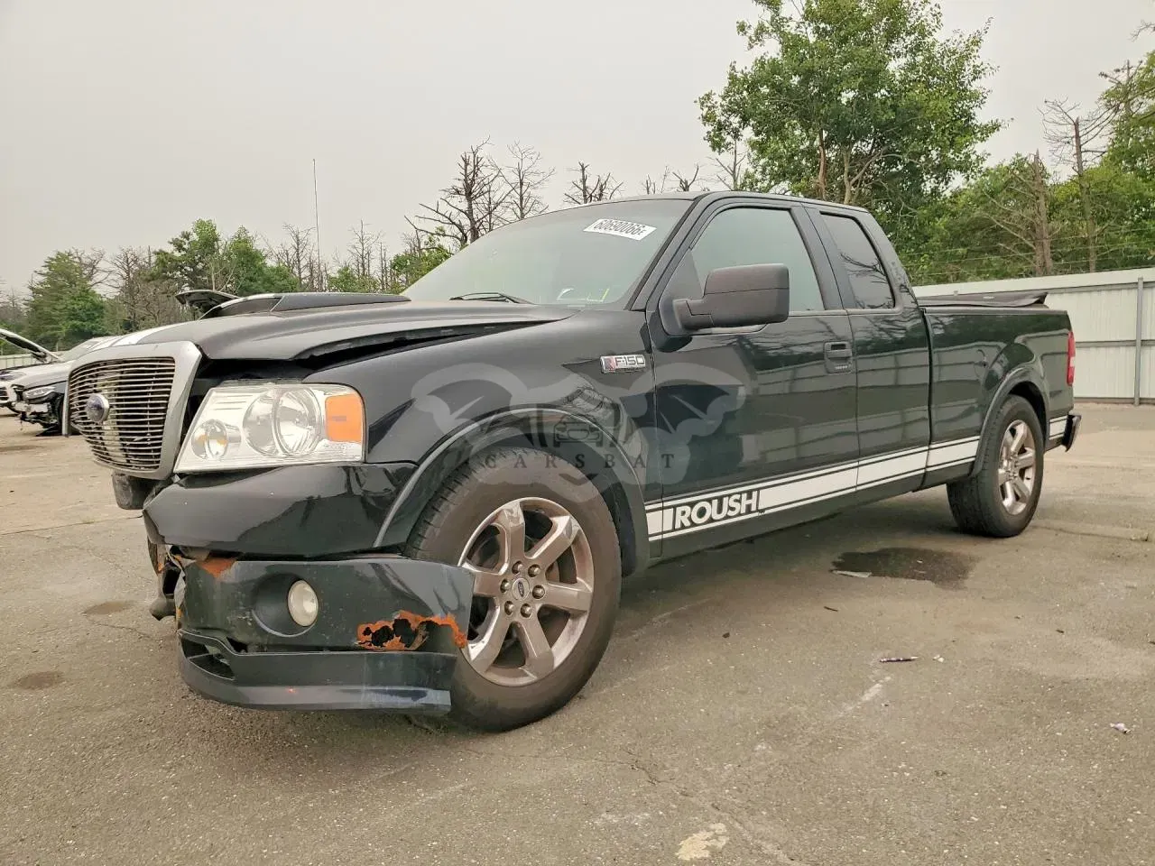 Ford F-150 5.4L 8 2006