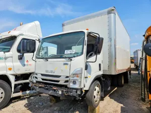 Isuzu NPR 5.2L 4 2022