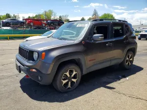 Jeep Renegade 1.3L 4 2019