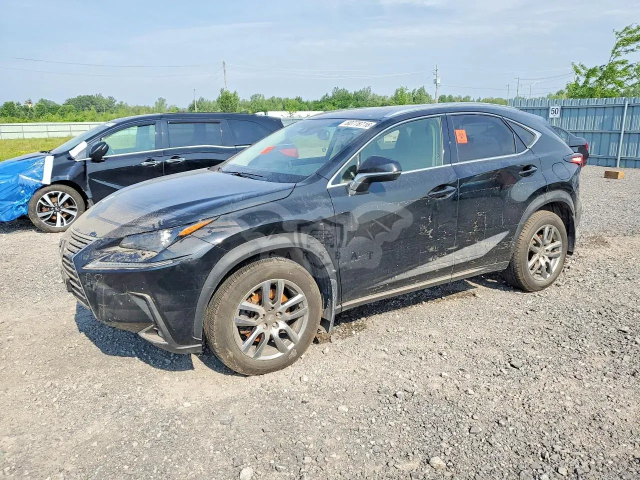 Lexus NX 2.0L 4 2019