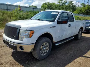 Ford F-150 4.6L 8 2010