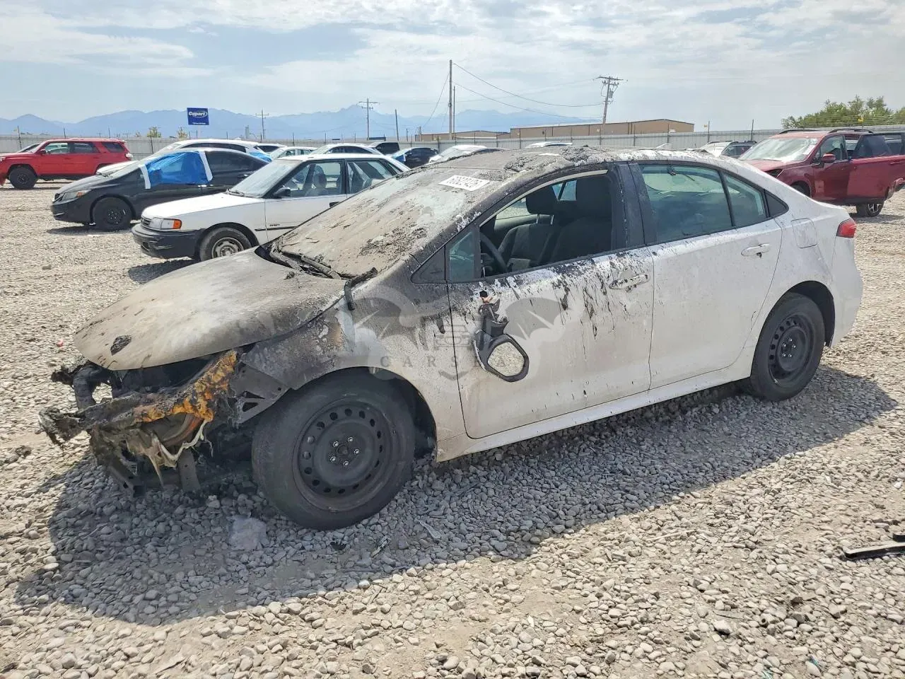 Toyota Corolla 2.0L 4 2026