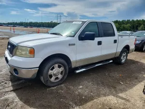 Ford F-150 4.6L 8 2008