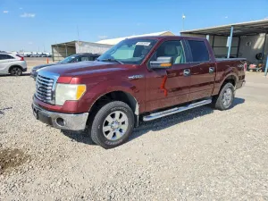 Ford F-150 4.6L 8 2010