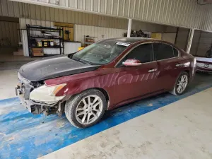 Nissan Maxima 3.5L 6 2010
