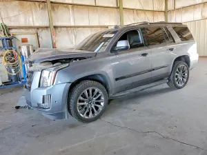 Cadillac Escalade 6.2L 8 2019