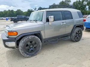 Toyota FJ Cruiser 4.0L 6 2010