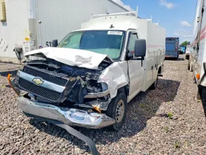 Chevrolet Express 6.6L 8 2021