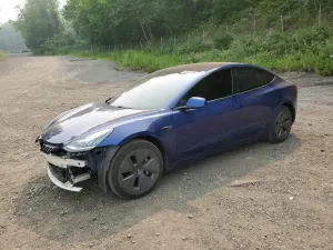 Tesla Model 3 2019