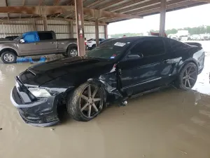 Ford Mustang 5.0L 8 2013