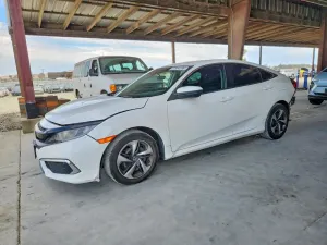 Honda Civic 2.0L 4 2019