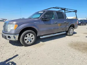 Ford F-150 4.6L 8 2010