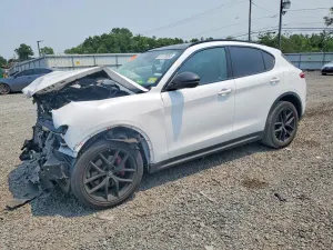 Alfa Romeo Stelvio 2.0L 4 2019