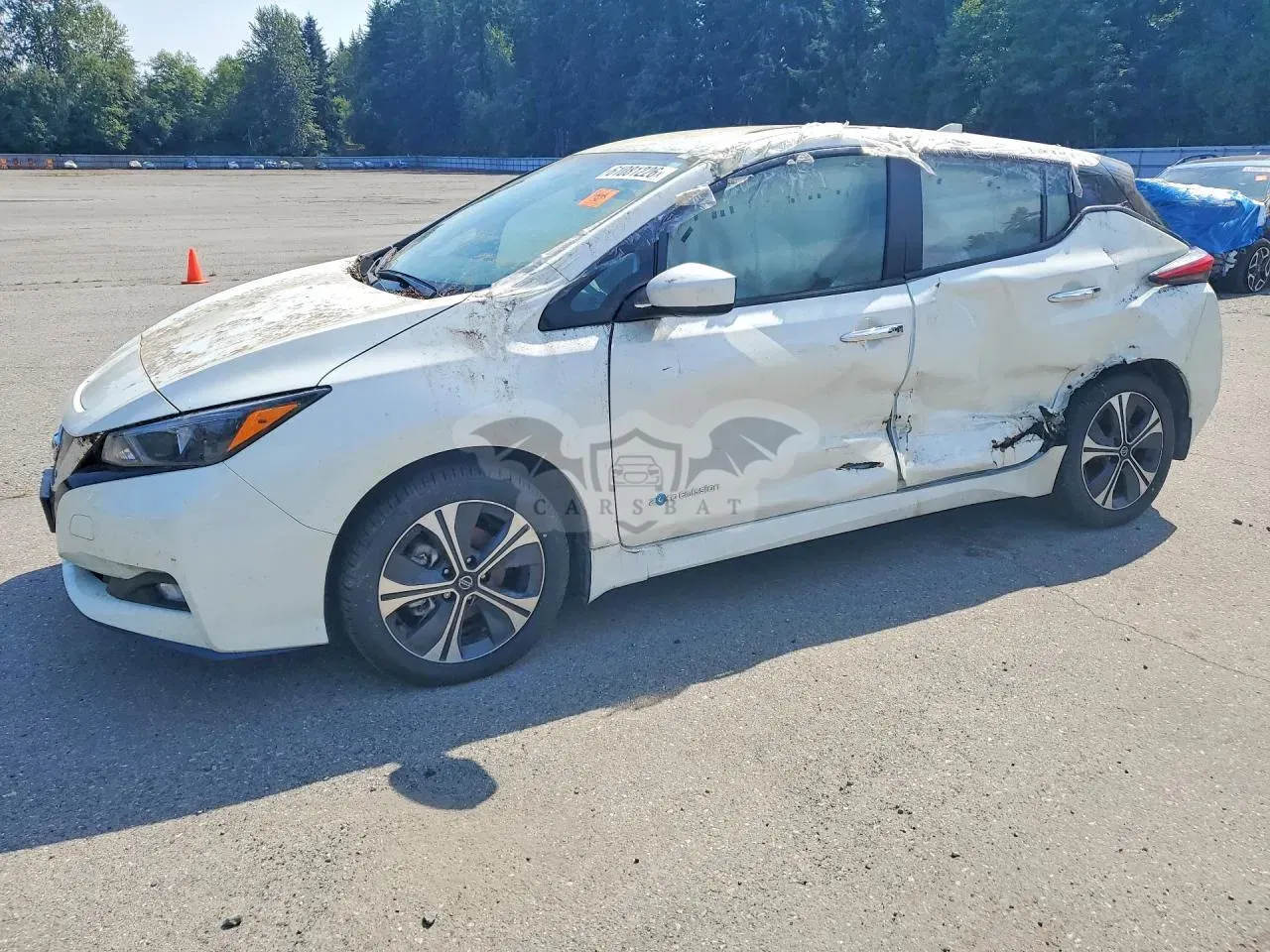 Nissan Leaf 0.0L 0 2019