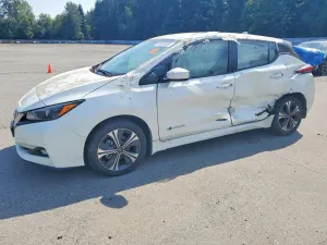 Nissan Leaf 0.0L 0 2019