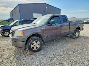 Ford F-150 4.6L 8 2007