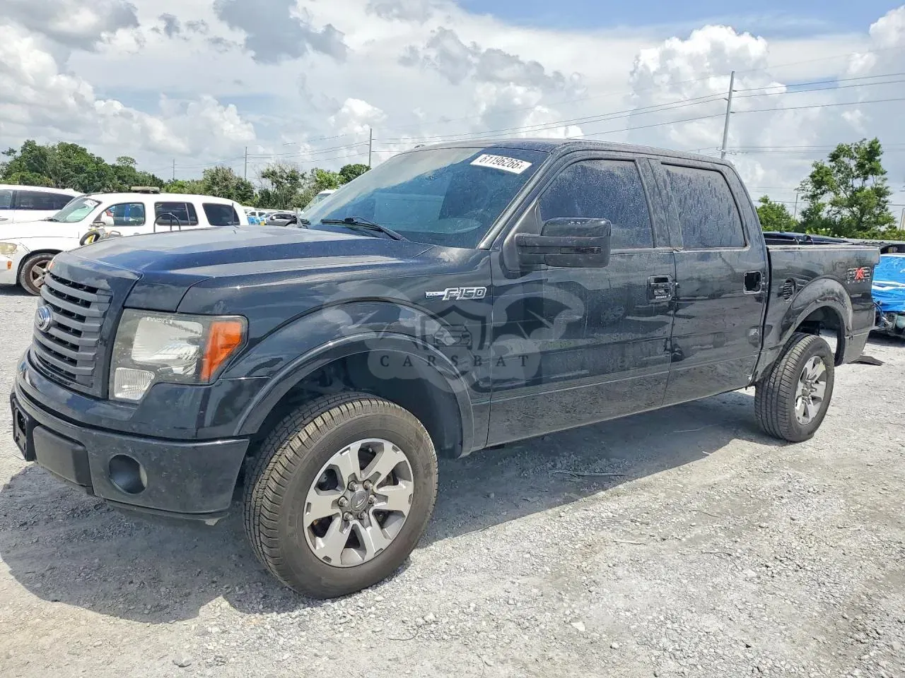 Ford F-150 4.6L 8 2010