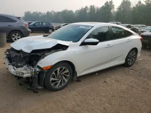 Honda Civic 2.0L 4 2019