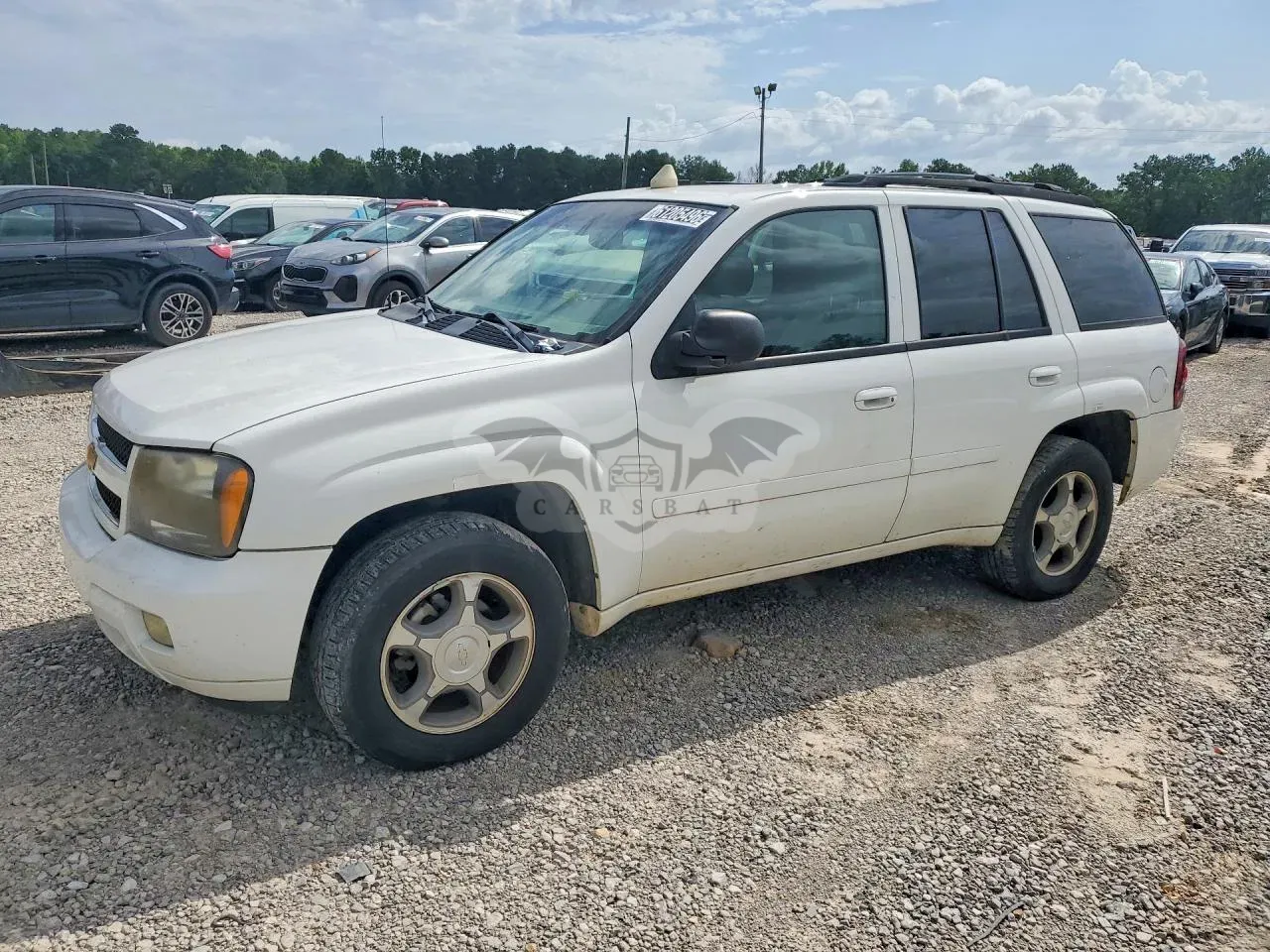 Chevrolet Trailblazer 4.2L 6 2006