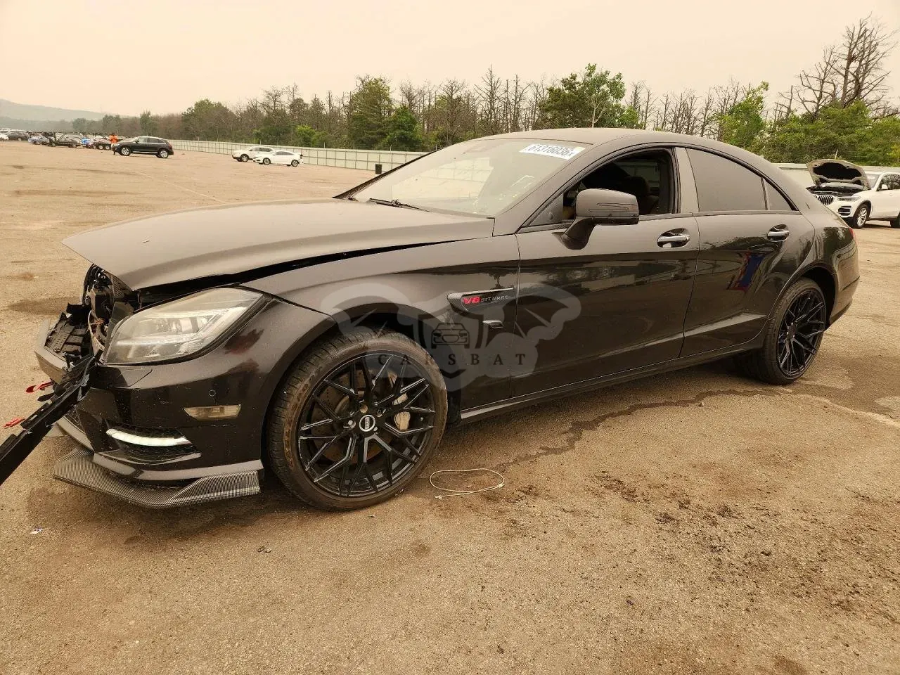 Mercedes-Benz CLS 4.6L 8 2014