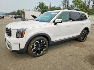 Kia Telluride 3.8L 6 2024