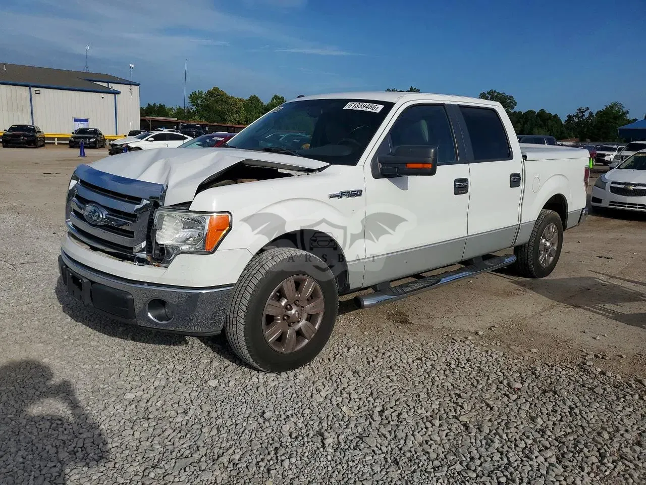 Ford F-150 4.6L 8 2009