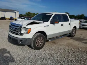Ford F-150 4.6L 8 2009