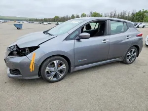 Nissan Leaf 0.0L 0 2019