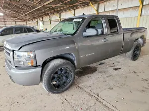 Chevrolet Silverado 1500 4.8L 8 2009