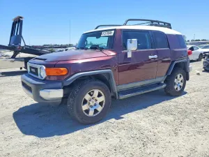 Toyota FJ Cruiser 4.0L 6 2007