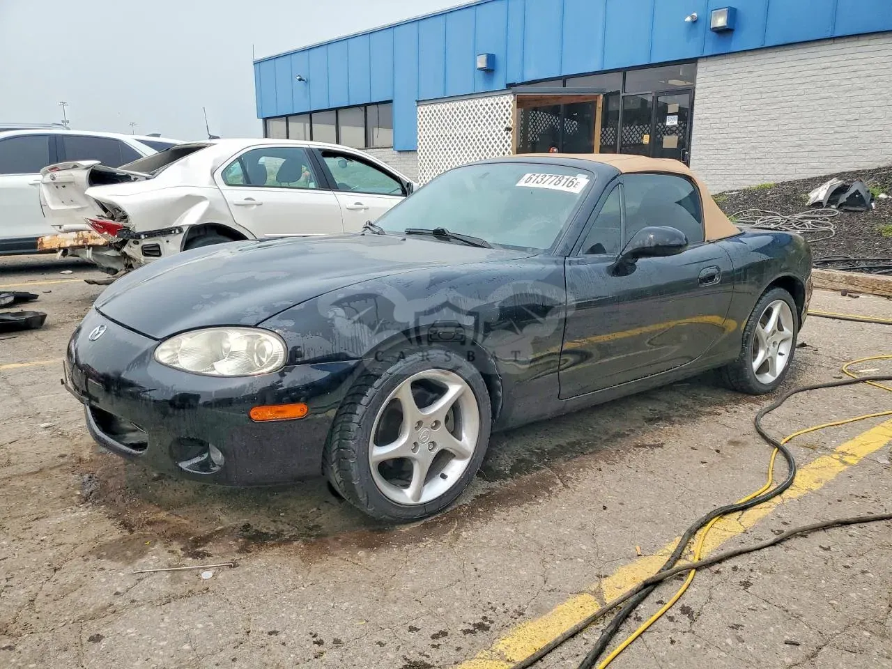 Mazda MX-5 (Miata) 1.8L 4 2001