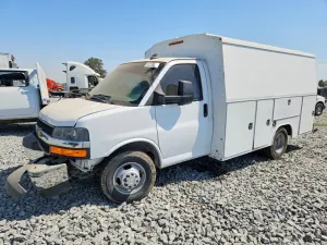 Chevrolet Express 6.6L 8 2021