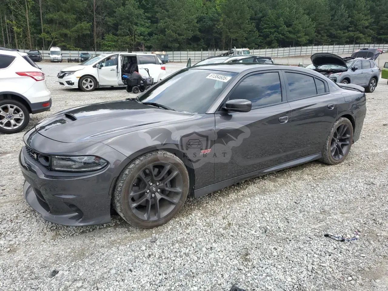 Dodge Charger SCAT PACK 6.4L 8 2021