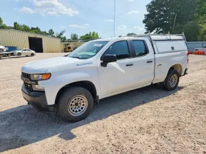 Chevrolet Silverado 1500 5.3L 8 2019
