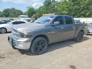 Dodge RAM 5.7L 8 2010